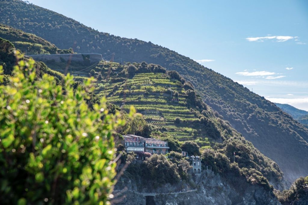 Views while hiking from Monterosso al Mare to Vernazza in Italy's Cinque Terre