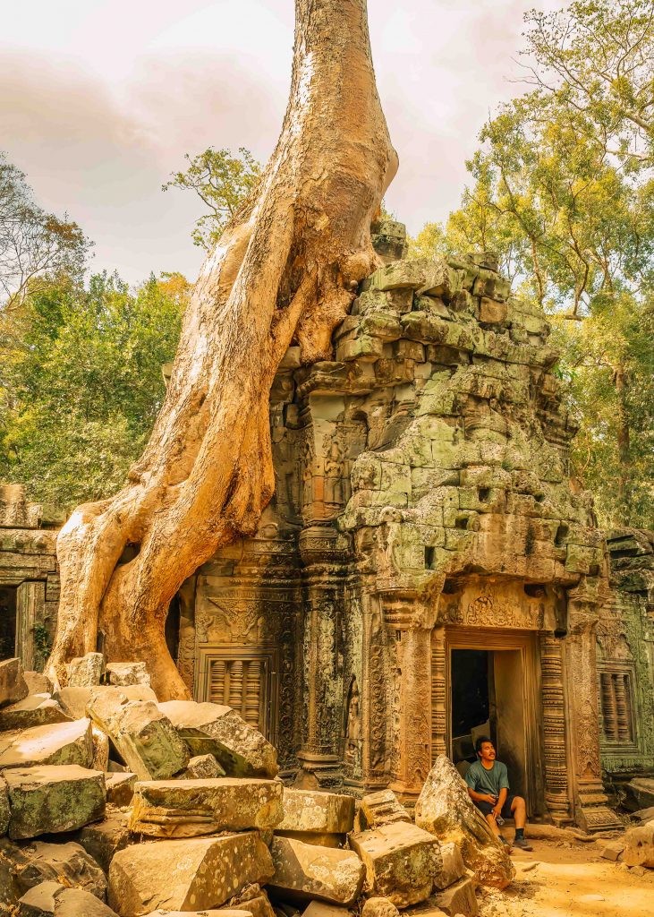 Angkor temple Ta Prohm in Siem Reap - Cambodia