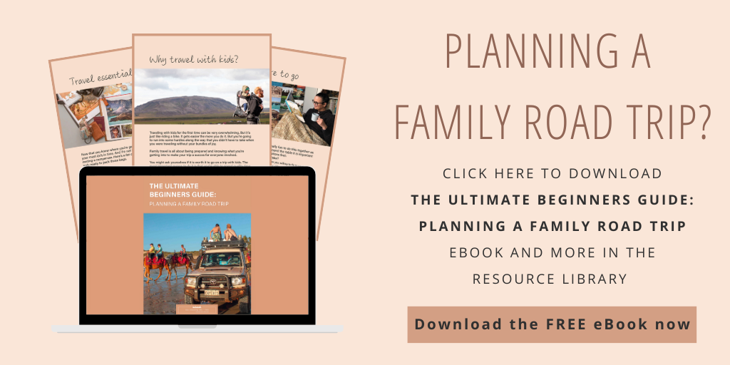 Get FREE ebook The Ultimate Beginners Guide: Planning a Family Road Trip