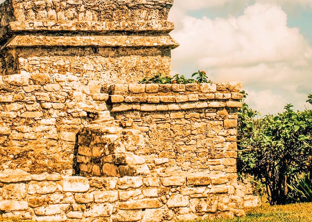 A view of the side of a Maya ruin surrounded by trees at the site of Xaman Ha in Playa Del Carmen